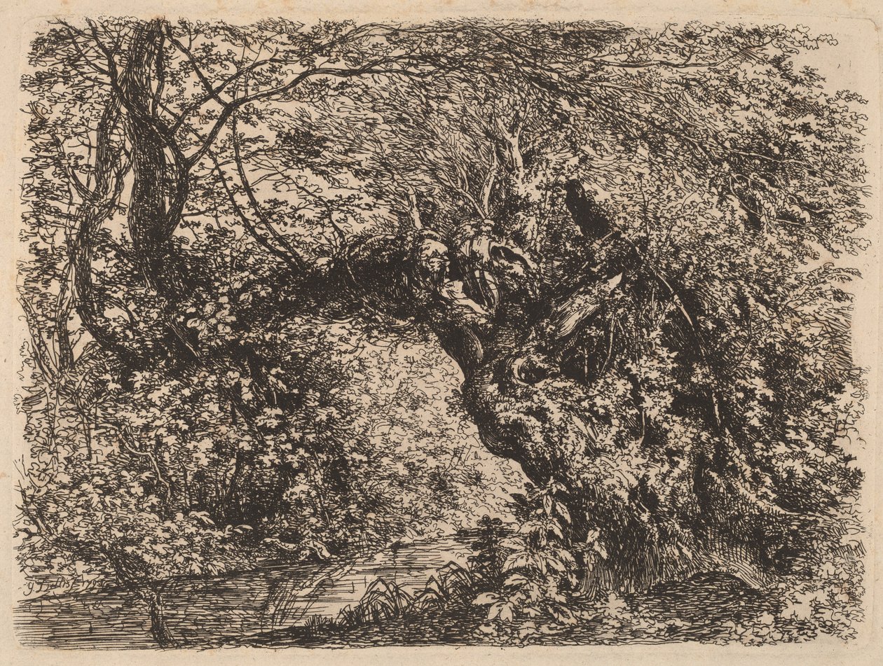En gammal pil vid en bäck, 1793. av Johann Georg von Dillis