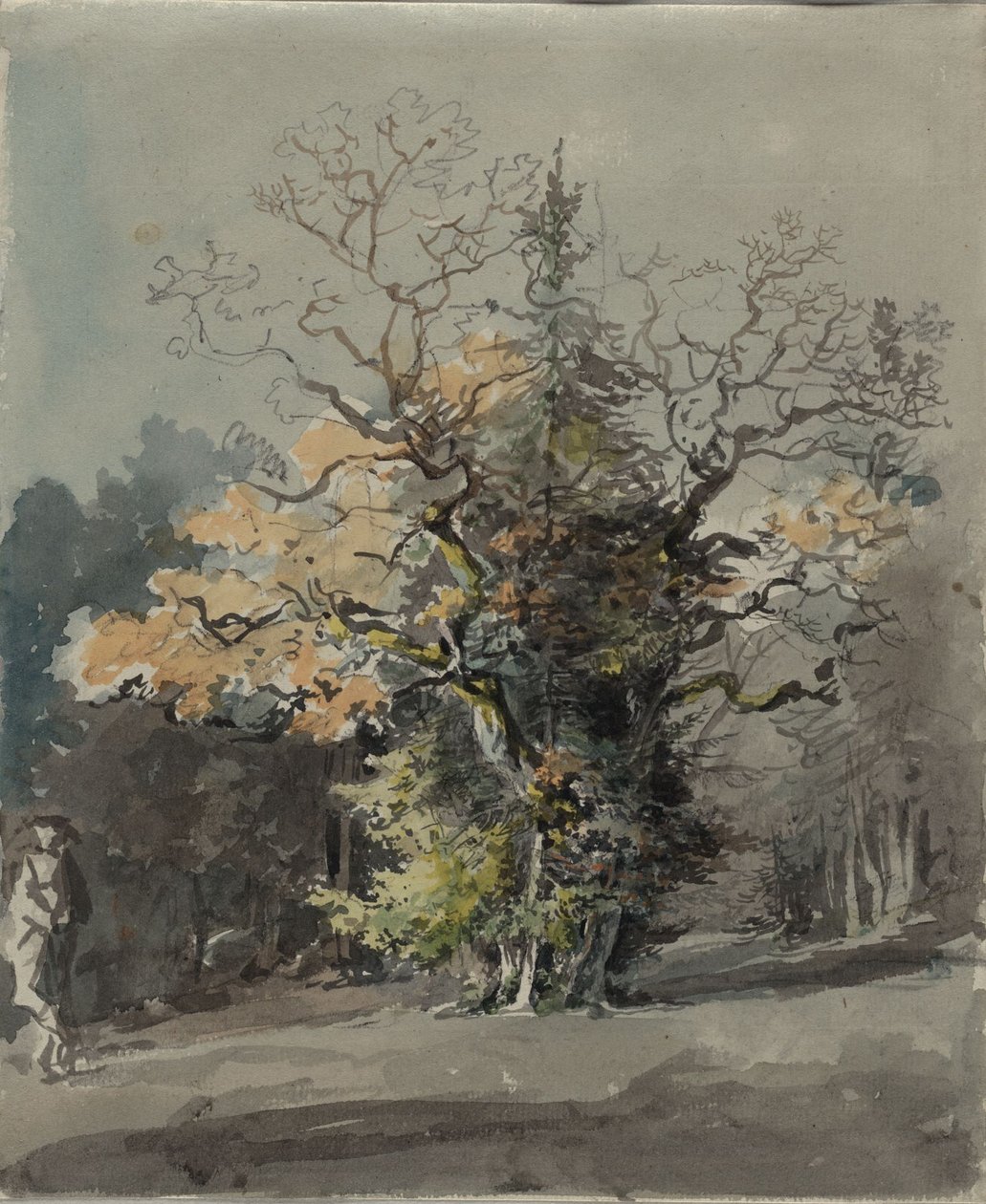 Trädgrupp framför skog av Johann Georg von Dillis
