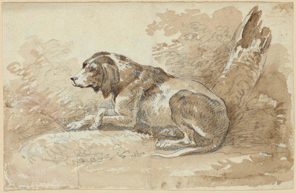 Två studier på hundar av Johann Georg von Dillis