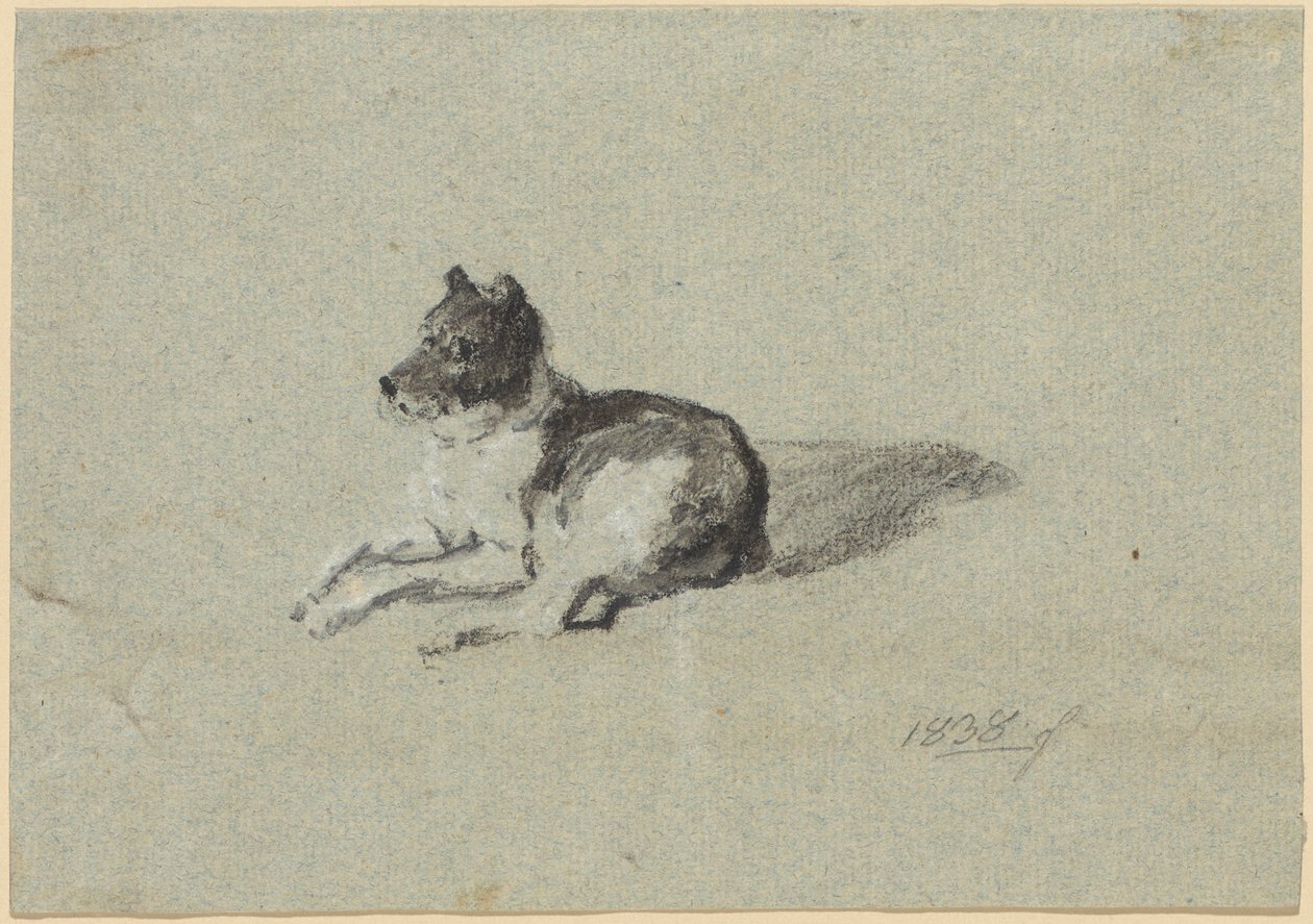 Två studier på hundar av Johann Georg von Dillis