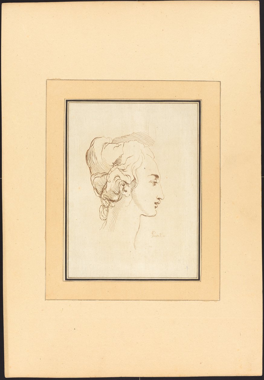 Chef för en kvinna av Johann Gottlieb Prestel after Guercino