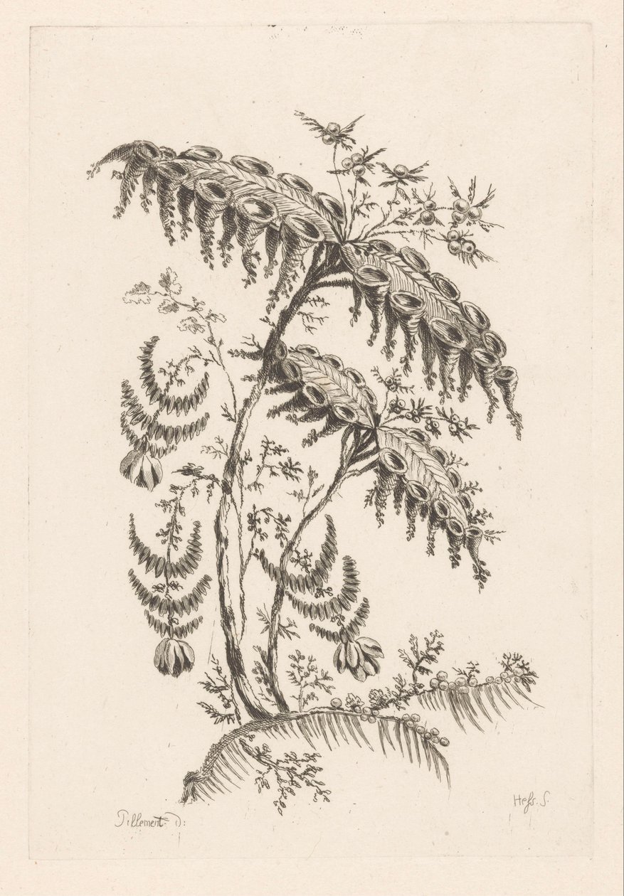 Blad med hornformer Fleures Baroque (serietitel) av Johann Heinrich  Hess