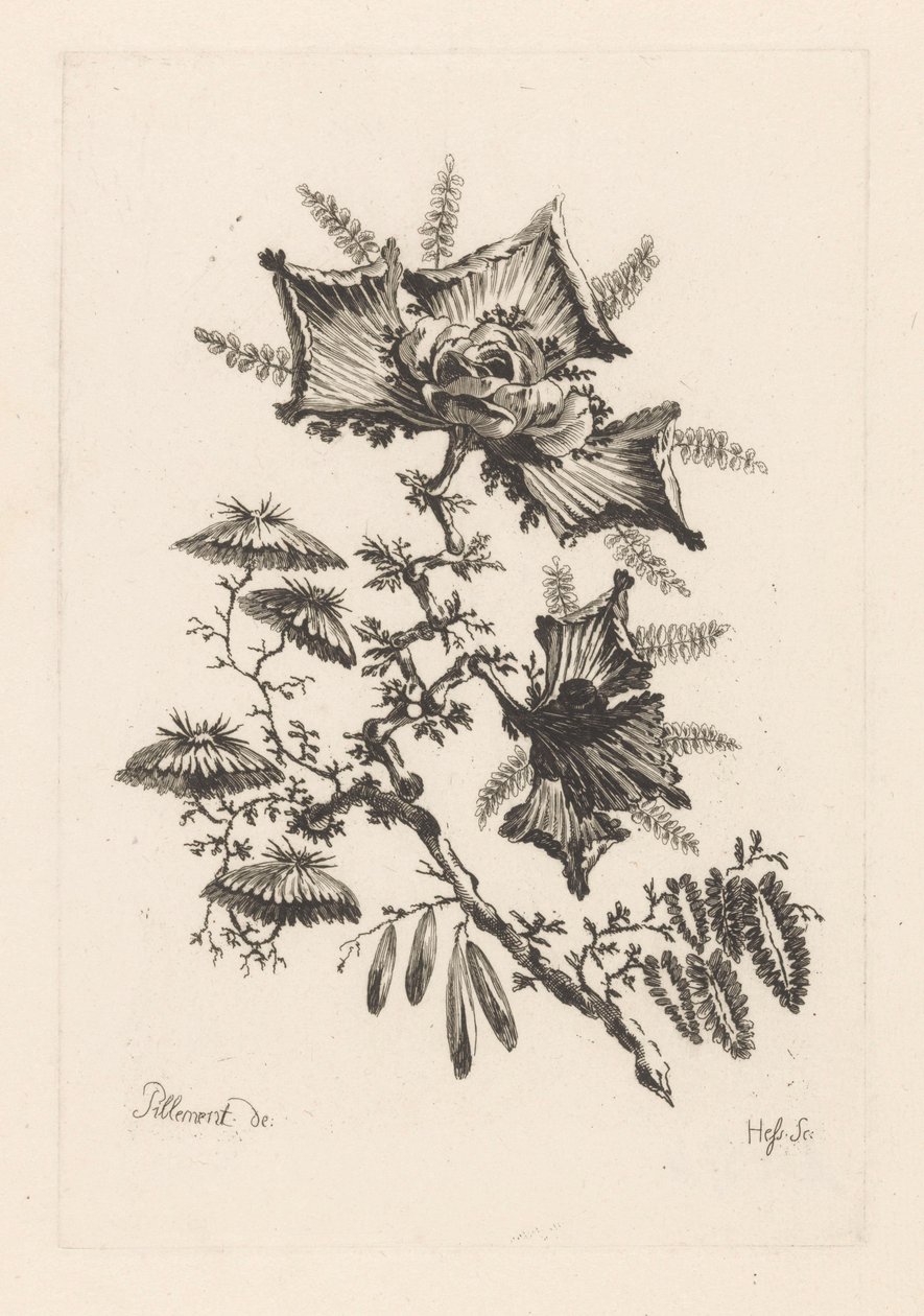 Drakformade blommor Fleures Baroque (serietitel) av Johann Heinrich  Hess