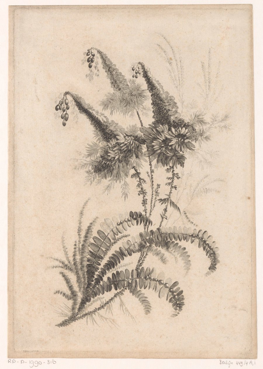 Puntige blommor Samling av nya smakblommor; För Manufacture des Etoffes de Perse (serietitel) av Johann Heinrich  Hess