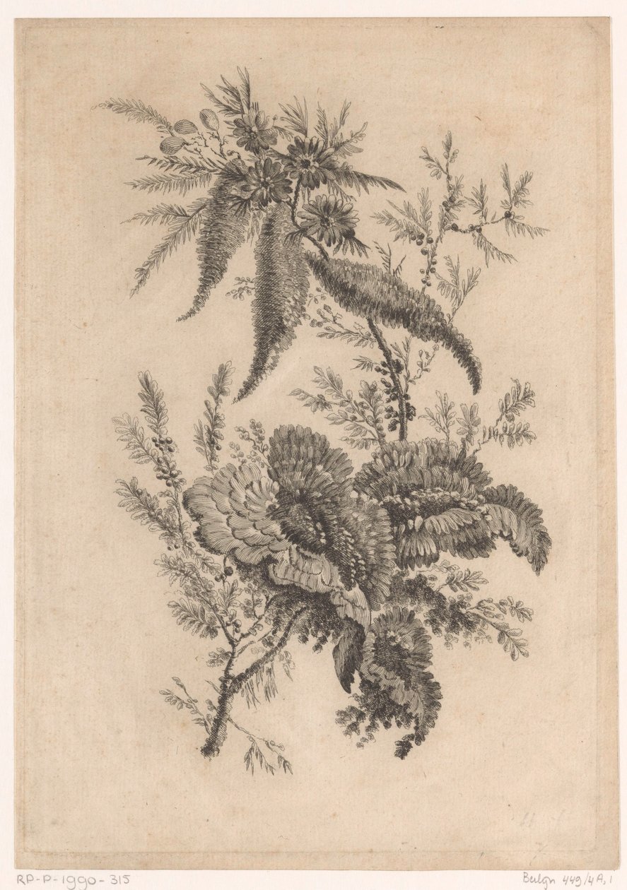 Wilde roosachtigen Samling av nya smakblommor; För Manufacture des Etoffes de Perse (serietitel) av Johann Heinrich  Hess