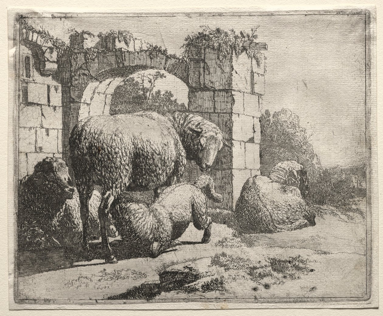Får nära ruinerna av en båge, 1665. av Johann Heinrich Roos
