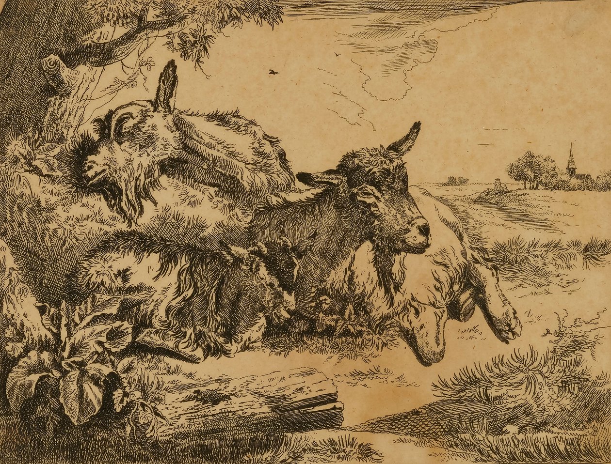 Två getter och ett kid av Johann Heinrich Roos