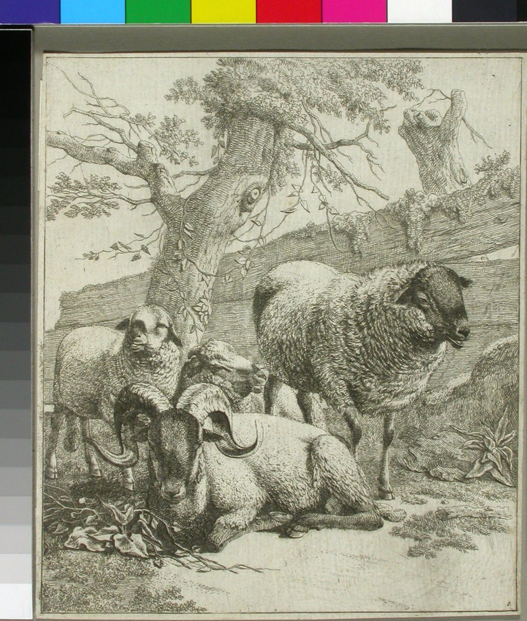 Ohne Titel av Johann Heinrich Roos