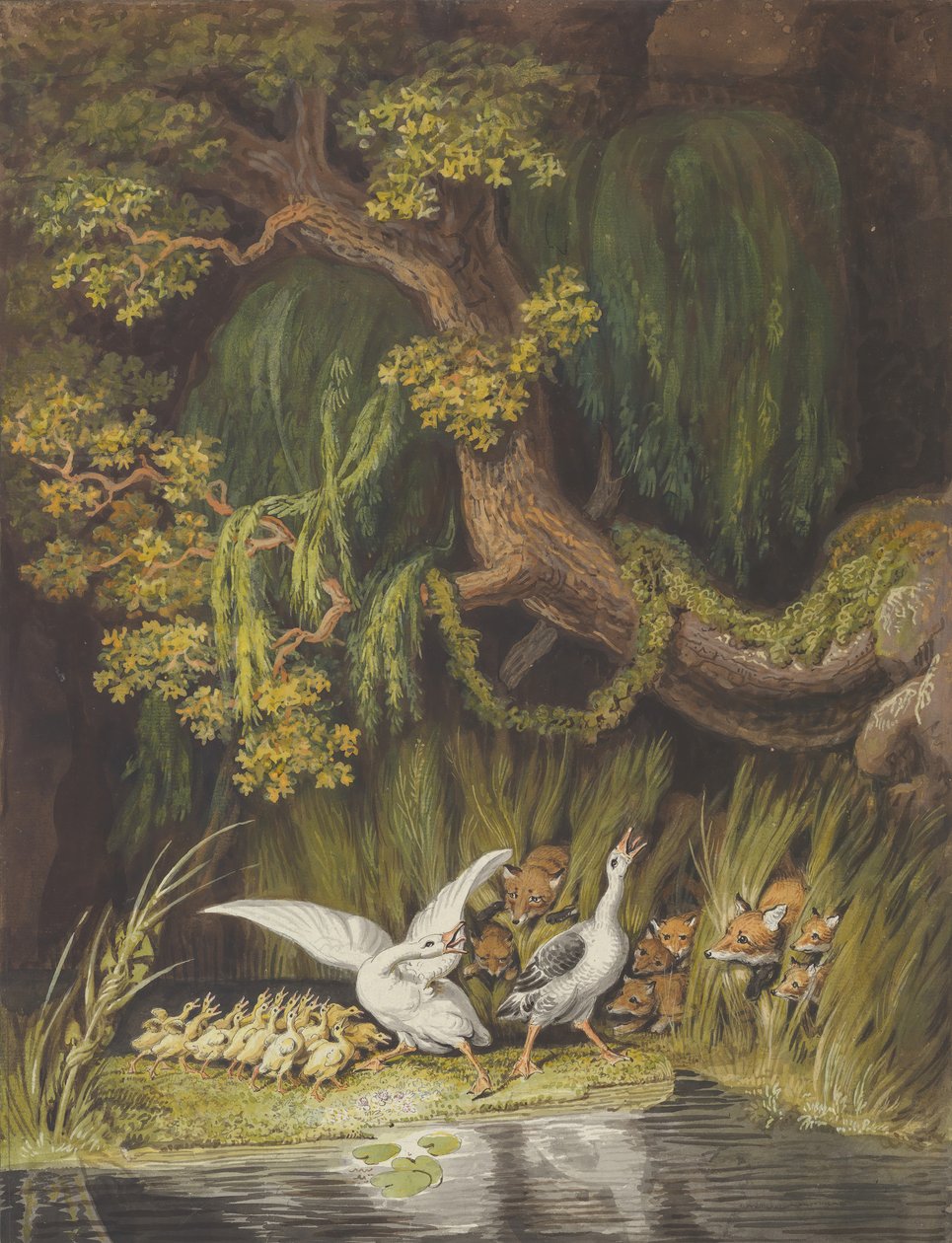 En gås och en gås med sina gåslingar som tutar i larm som två rävar..., mitten av 1700-talet och början av 1800-talet. av Johann Heinrich Wilhelm Tischbein
