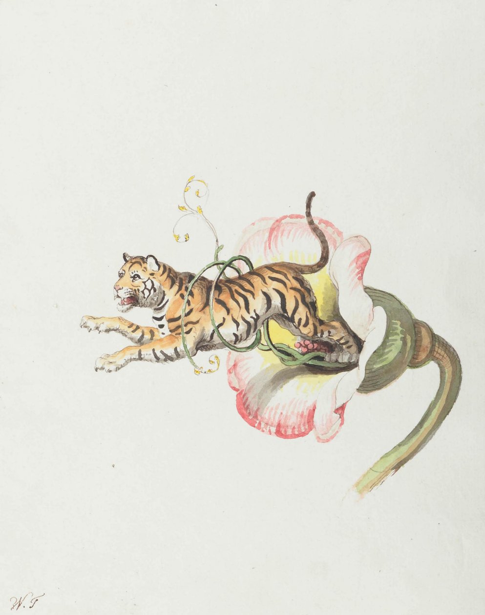 Tiger som hoppar från en blomkrona. Allegori om blomsterfrön, 1817. av Johann Heinrich Wilhelm Tischbein