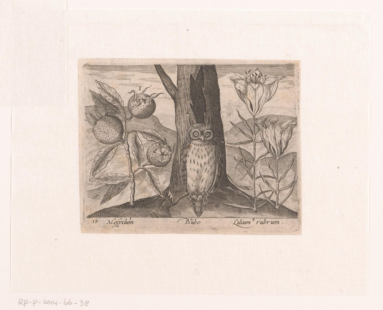 Serie av tryck med blommor och djur i ett landskap Landskap med mispel, lilja och uggla Landskap med djur, växter och blommor (serietitel) av Johann Hogenberg