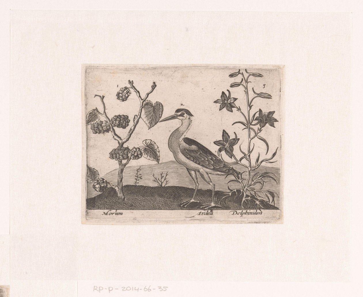 Serie av tryck med blommor och djur i ett landskap Landskap med häger och larksporre Landskap med djur, växter och blommor (serietitel) av Johann Hogenberg