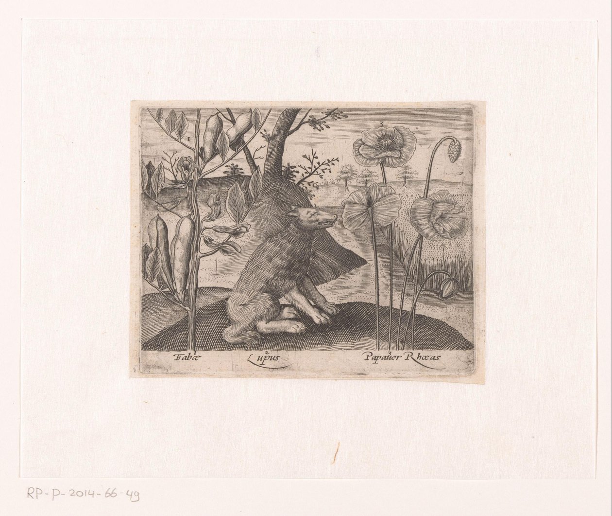 Serie av tryck med blommor och djur i ett landskap Landskap med varg och växter Landskap med djur, växter och blommor (serietitel) av Johann Hogenberg
