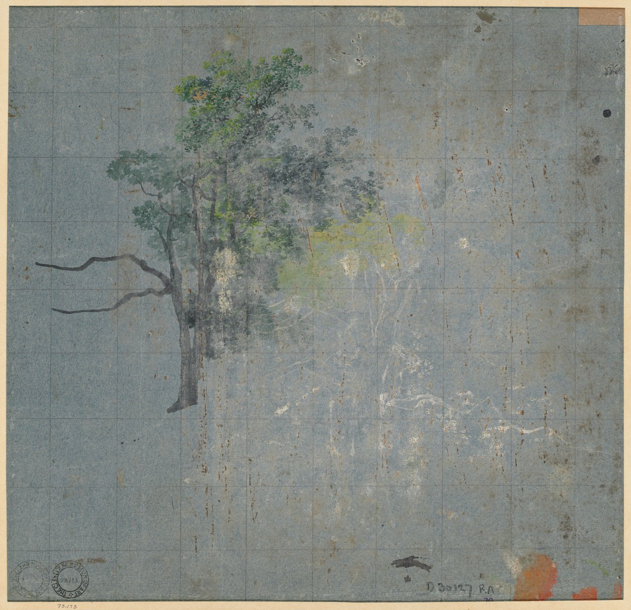 Trädstudier (verso) av Johann Jacob Dorner