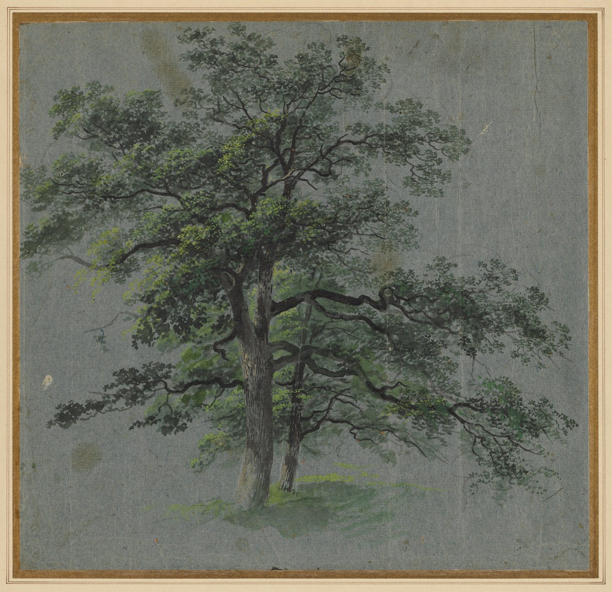 Two Trees recto Tree Studies tergo, första hälften av 1800-talet. av Johann Jacob Dorner