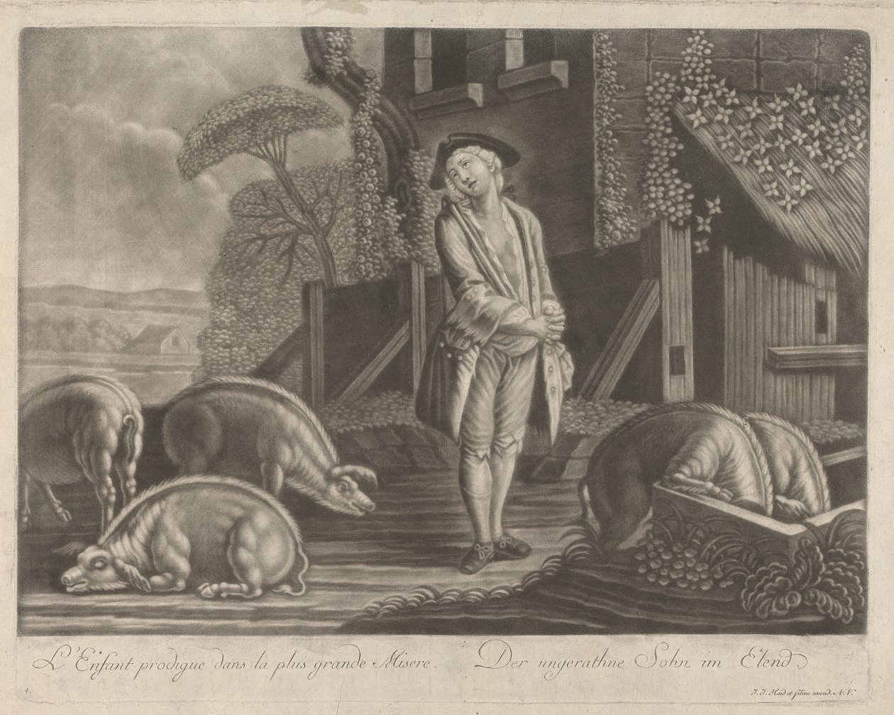 swedish av Johann Jacobus Haid