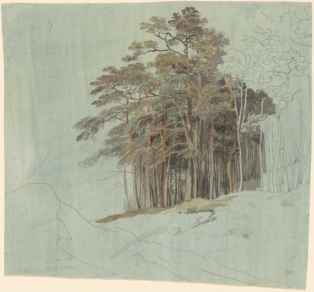 En studie av tallar av Johann Jakob Dorner the younger