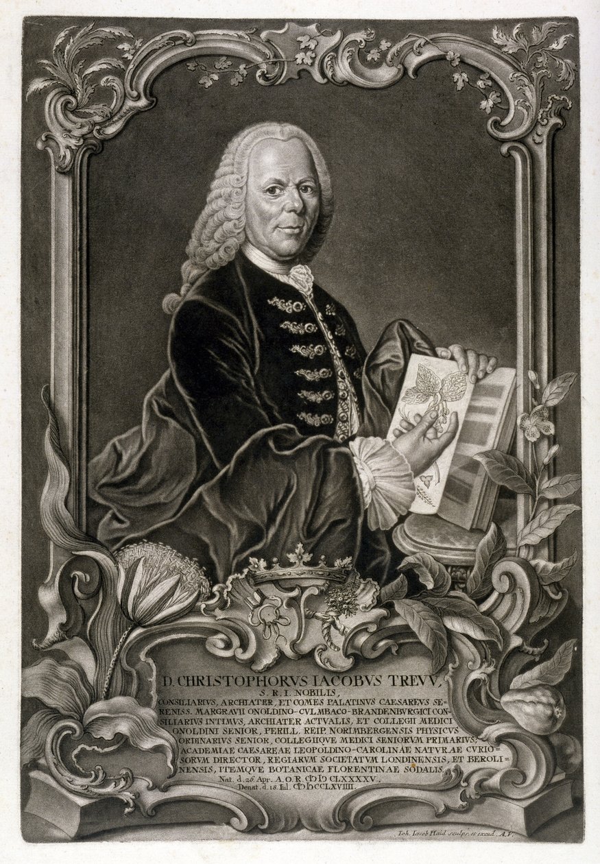 C. J. Trew, botaniker, pub. c.1768 av Johann Jakob Haid