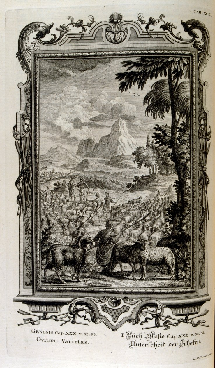 swedish av Johann Jakob Scheuchzer