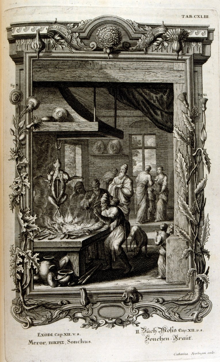 Illustration från Sacred Physics, eller Bibelns naturhistoria av Johann Jakob Scheuchzer