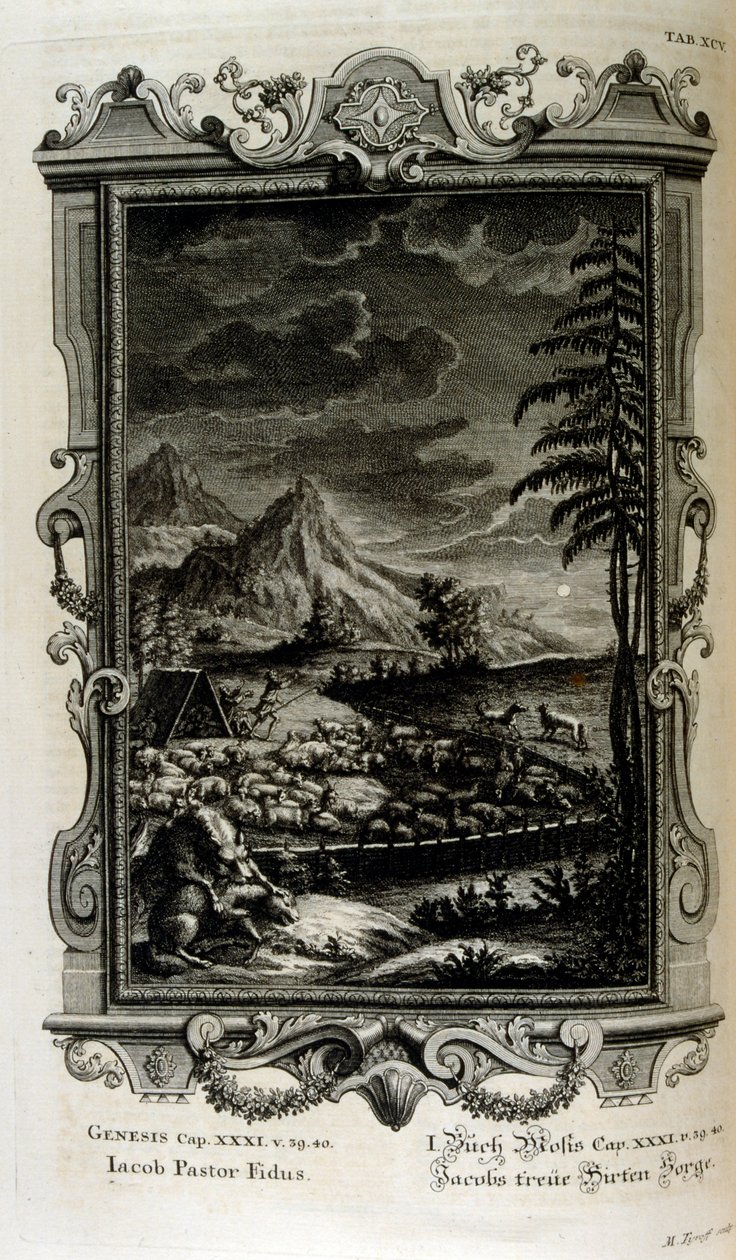 Jacobs Fields av Johann Jakob Scheuchzer