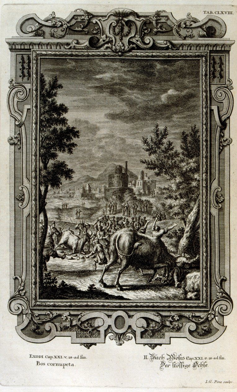 Att offra vilda tjurar av Johann Jakob Scheuchzer