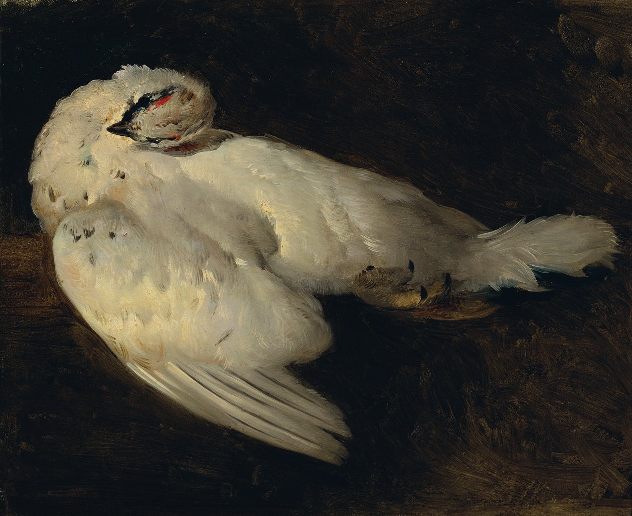död ripa av Johann Matthias Ranftl