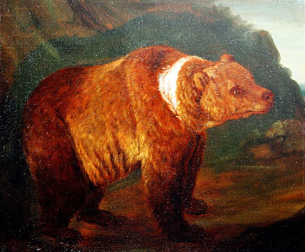A Brown Bear in a Landscape, ca 1719 (olja på duk) av Johann Melchior Roos