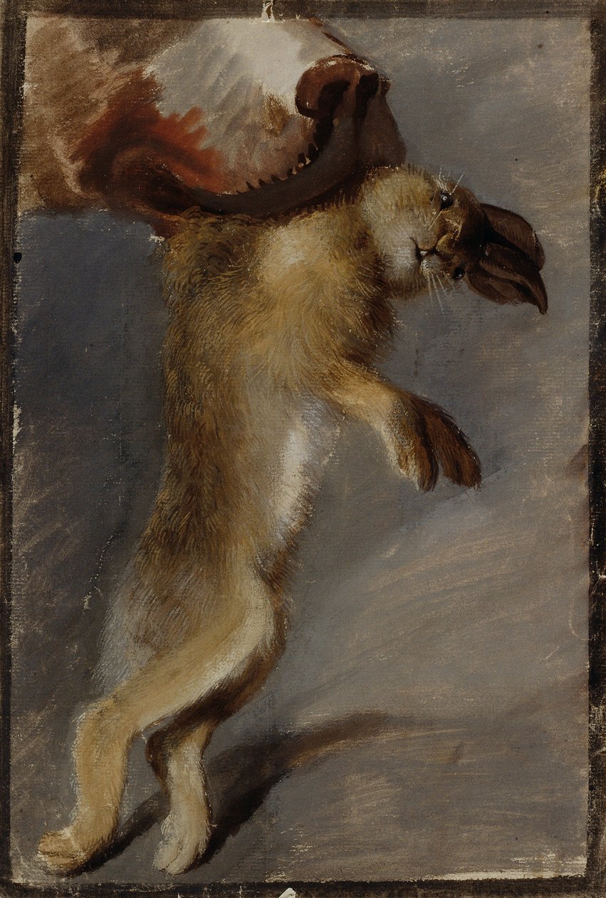 Studie av en hare av Johann Peter Krafft