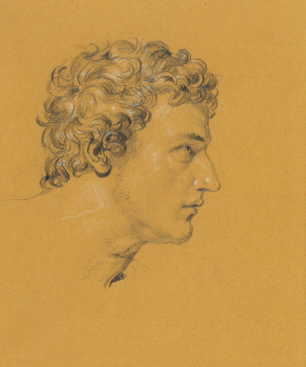 Studie av ett huvud av Johann Peter Krafft