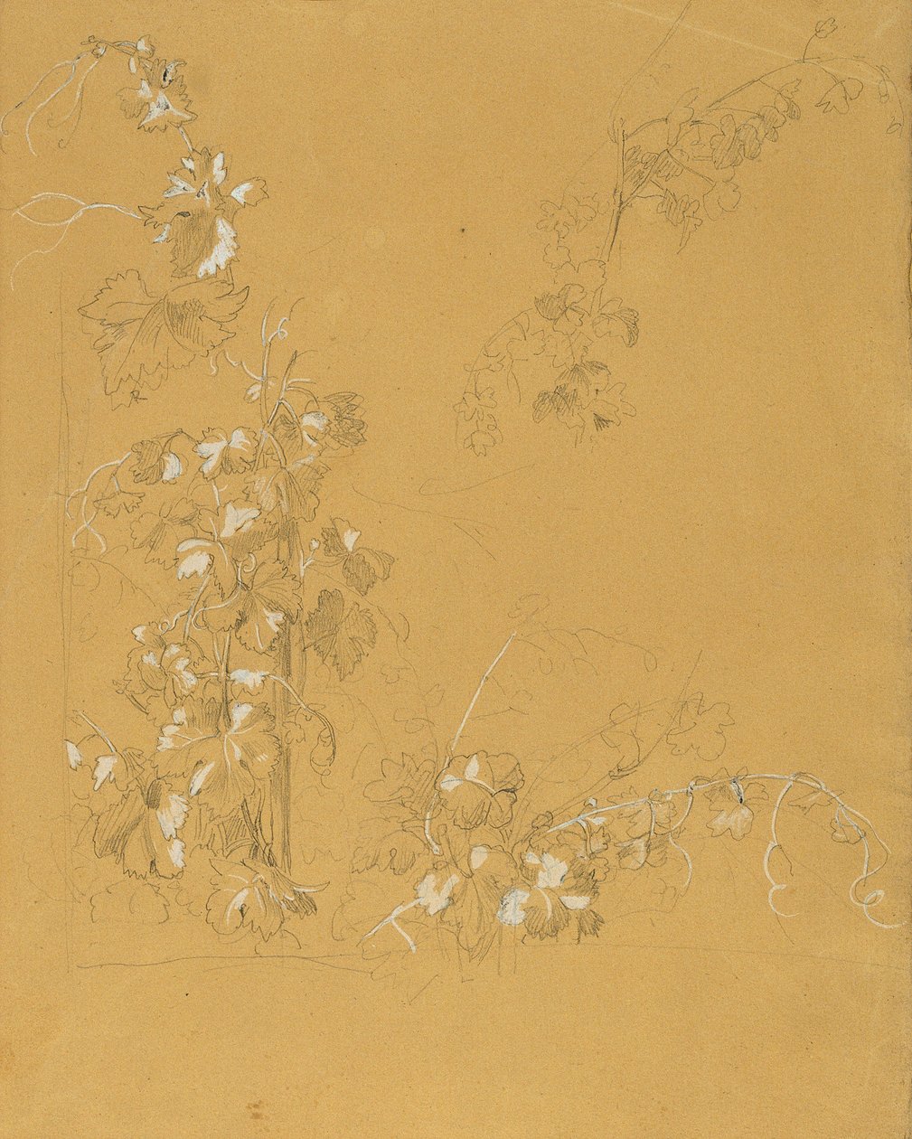 Weinstock, studie för "Hermann och Dorothea i vingården" av Johann Peter Krafft