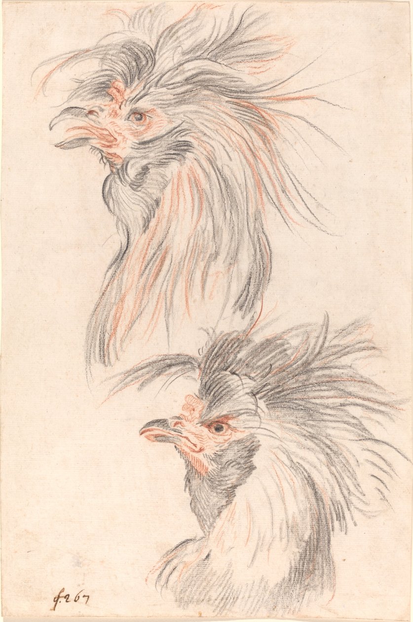 Fighting Cock av Johann Rudolph Schellenberg