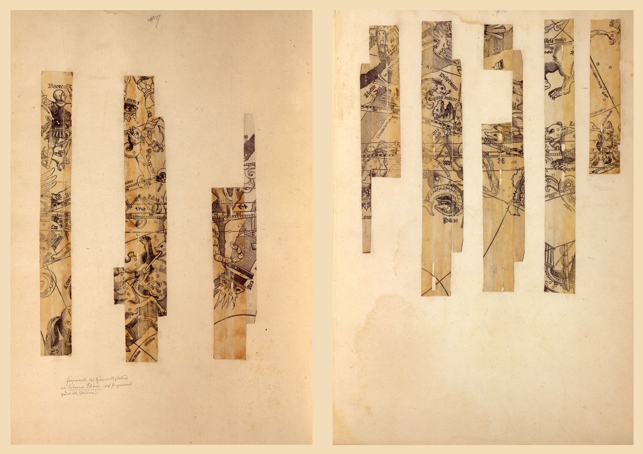 Fragmentarisk himmelsglob. LOC 2016586440 av Johann Schöner