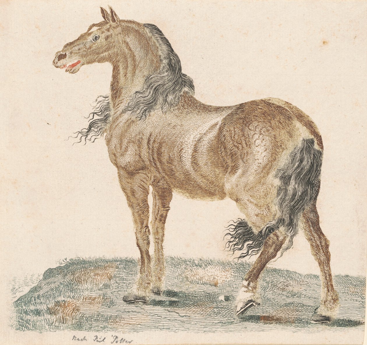 Grannhästen, 1690-talet. av Johann Teyler