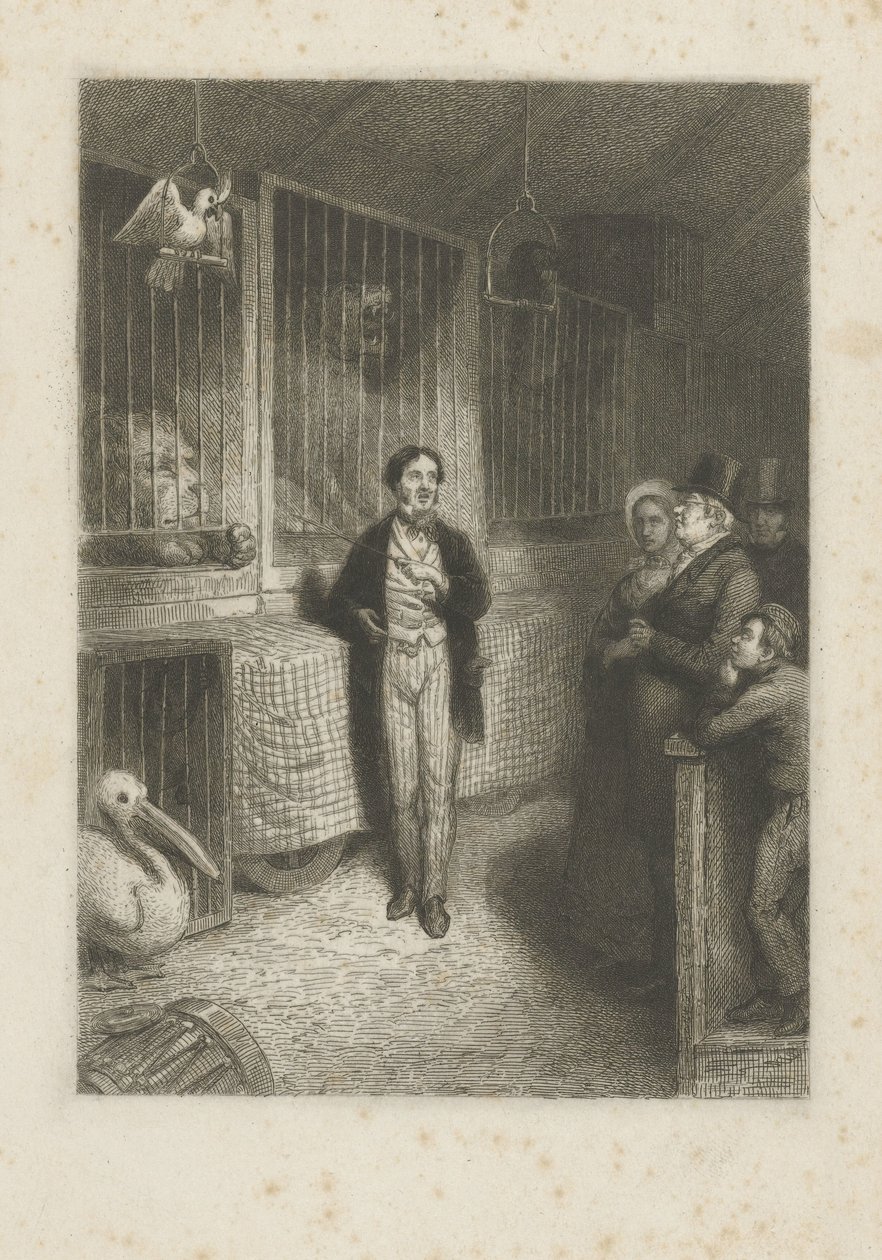 Tittar på djur av Johann Wilhelm Kaiser (I)