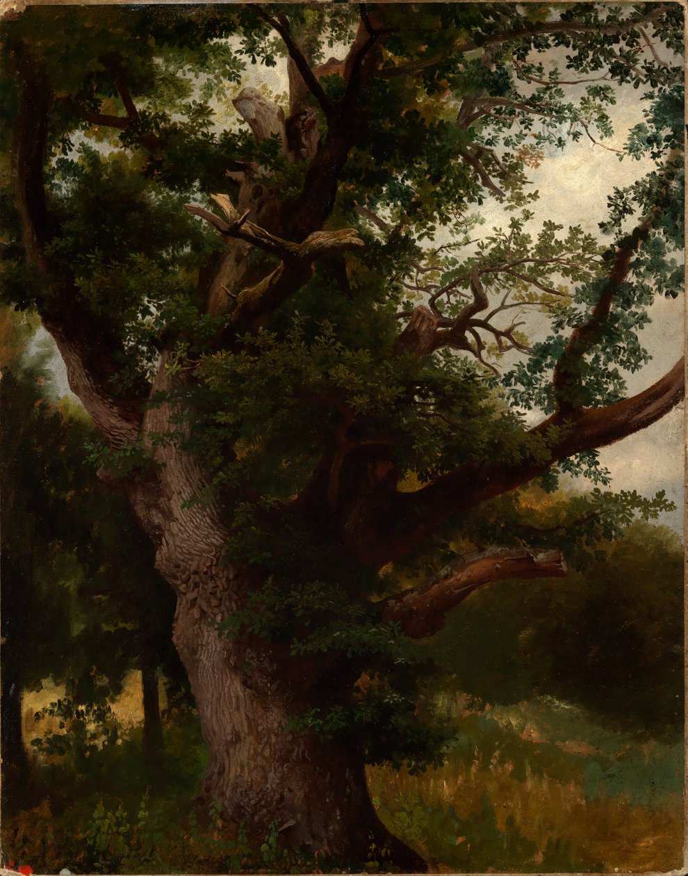 Eichbaum av Johann Wilhelm Schirmer