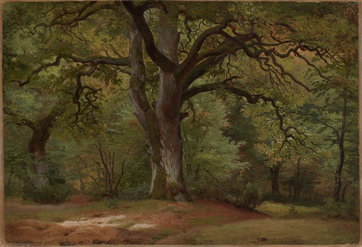 Ekskog i Solling av Johann Wilhelm Schirmer