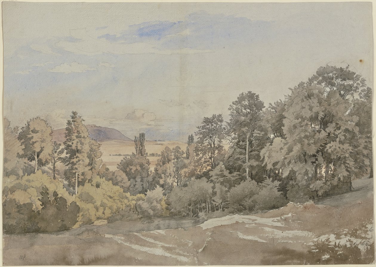Skog med utsikt i fjärran av Johann Wilhelm Schirmer