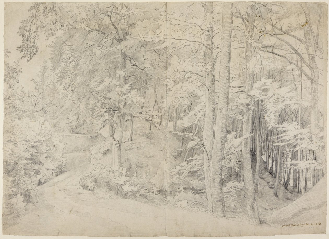 I bokskogen av Johann Wilhelm Schirmer