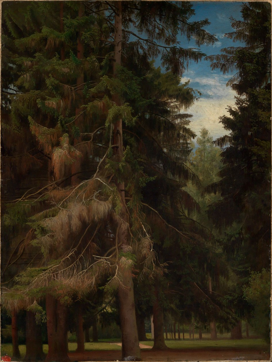 En glänta i granskogen av Johann Wilhelm Schirmer