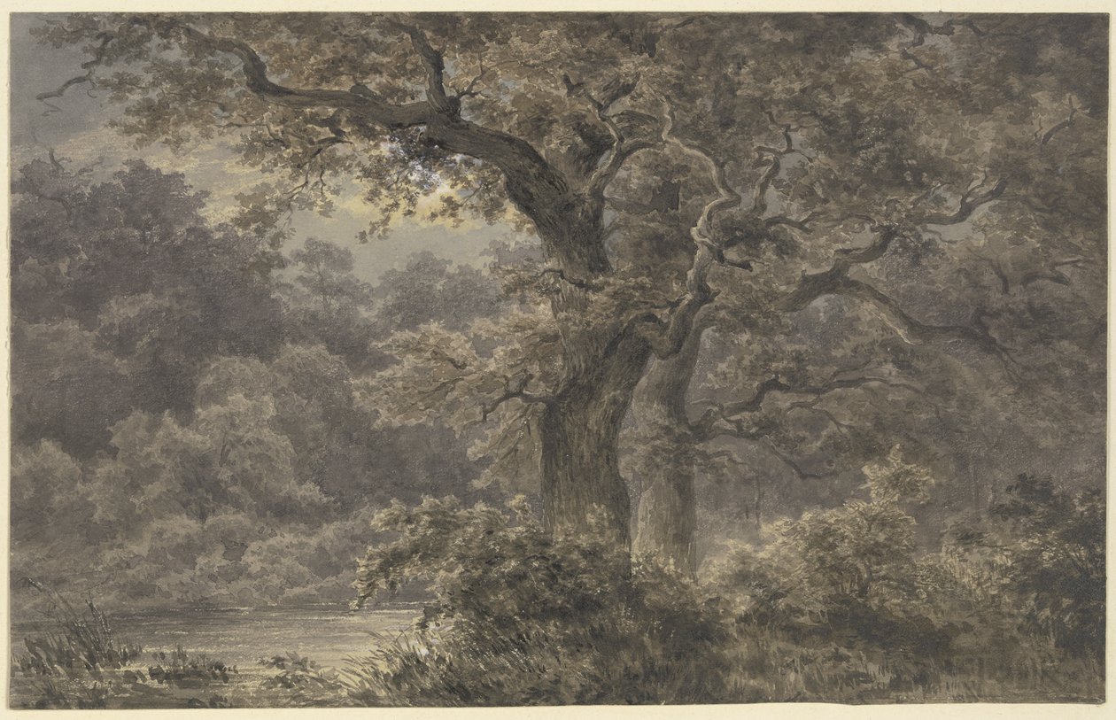 Ekar i skogen av Johann Wilhelm Schirmer