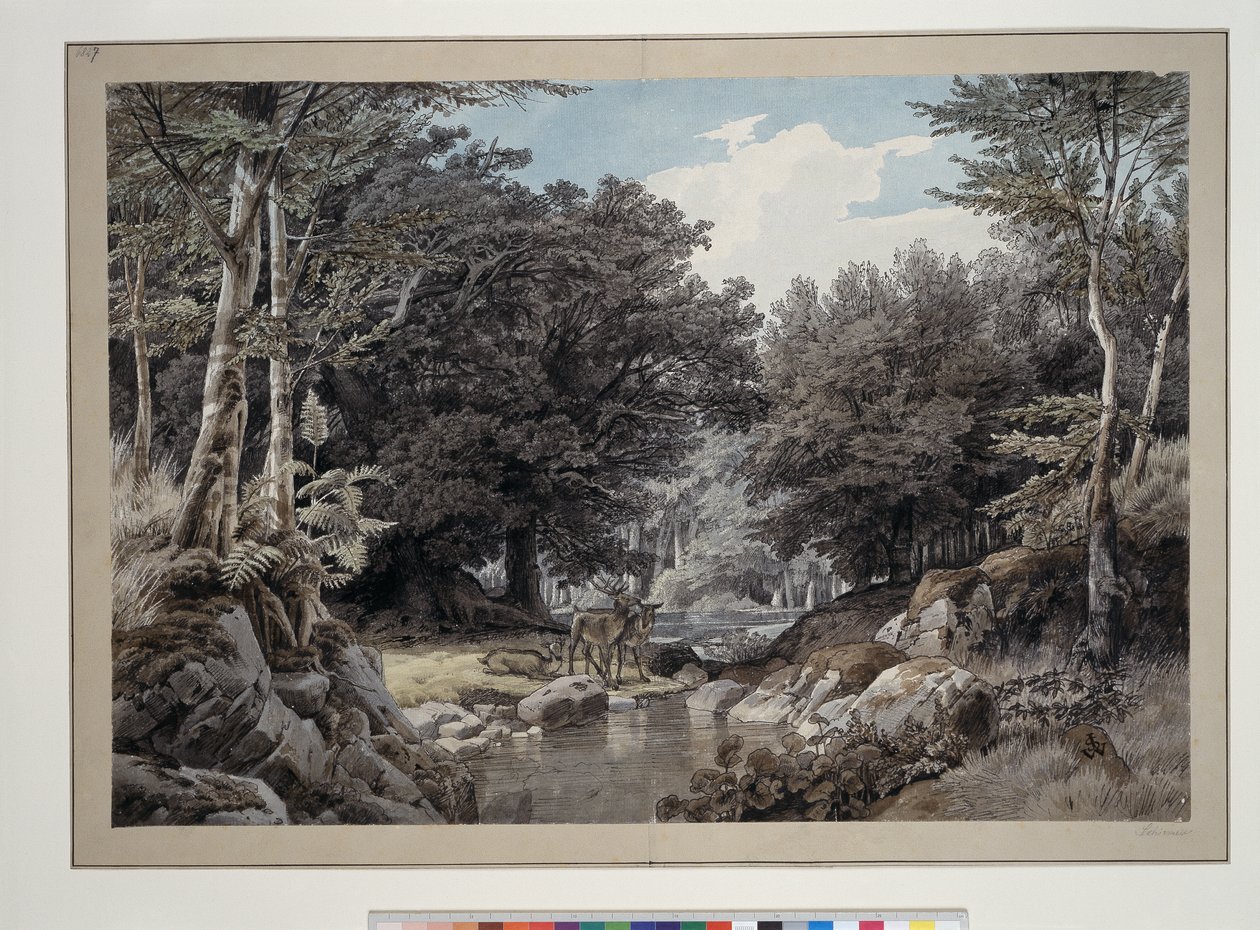 Skogsinteriör med hjortar vid vattnet av Johann Wilhelm Schirmer
