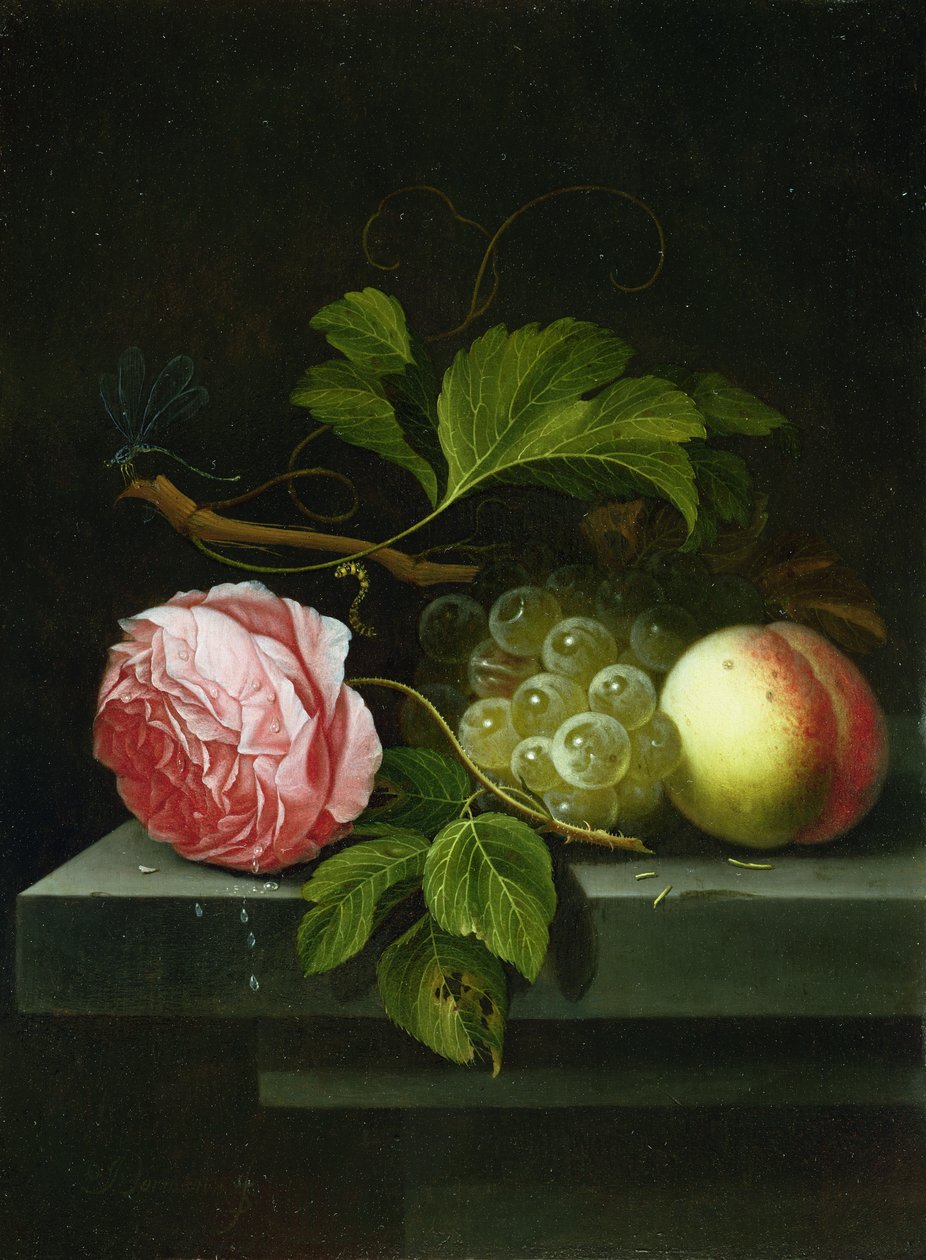 Ett stilleben med en ros, vindruvor och persika, 1600-talet av Johannes Borman