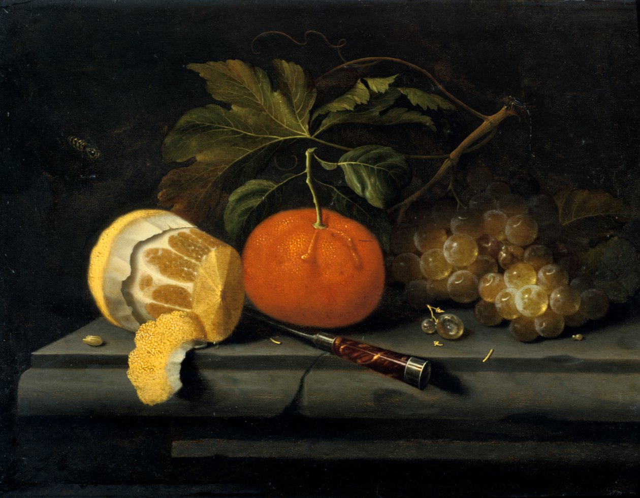 Frukter på en dukning av sten, c1653-1659 av Johannes Borman