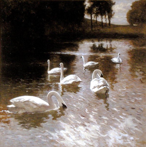 Svanar på en sjö, ca 1890 (olja på duk) av Johannes Cornelis van Essen