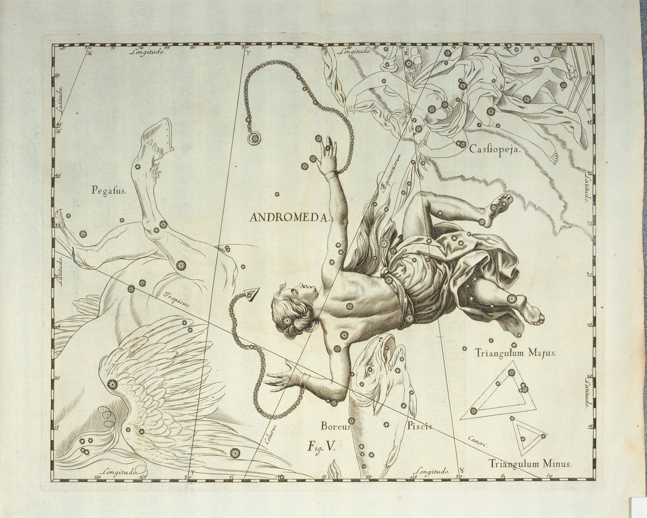 Boreal stjärnbild Andromeda, gravyr från himmelsatlas Firmamentum Sobiescianum sive Uronographia, av Johann Hevelius (1611-1687), Gdansk av Johannes Hevelius