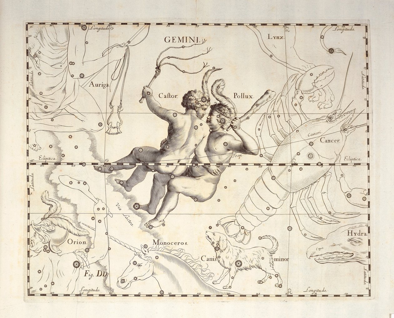 Tvillingarnas konstellation av Tvillingarna, gravering från himmelsatlas Firmamentum Sobiescianum sive Uronographia, av Johann Hevelius (1611-1687), Gdansk av Johannes Hevelius