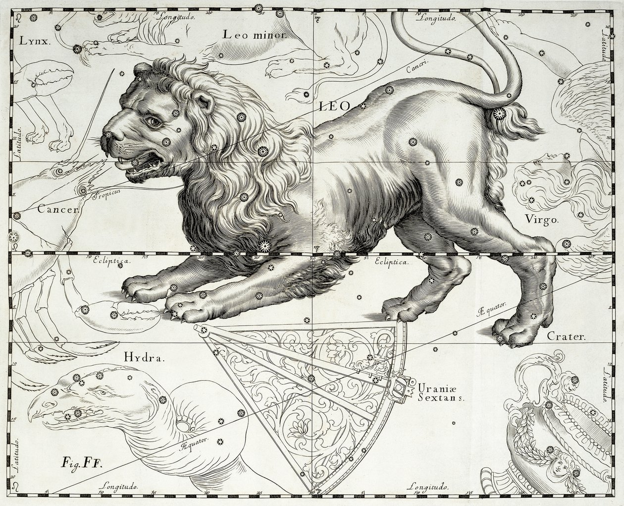 Lejonet, stjärnkonstellationen Lejon, illustration hämtad från Johann Hevelius (1611-1687) stjärnatlas Firmamentum Sobiescianum sive Uranographia, Gdansk av Johannes Hevelius