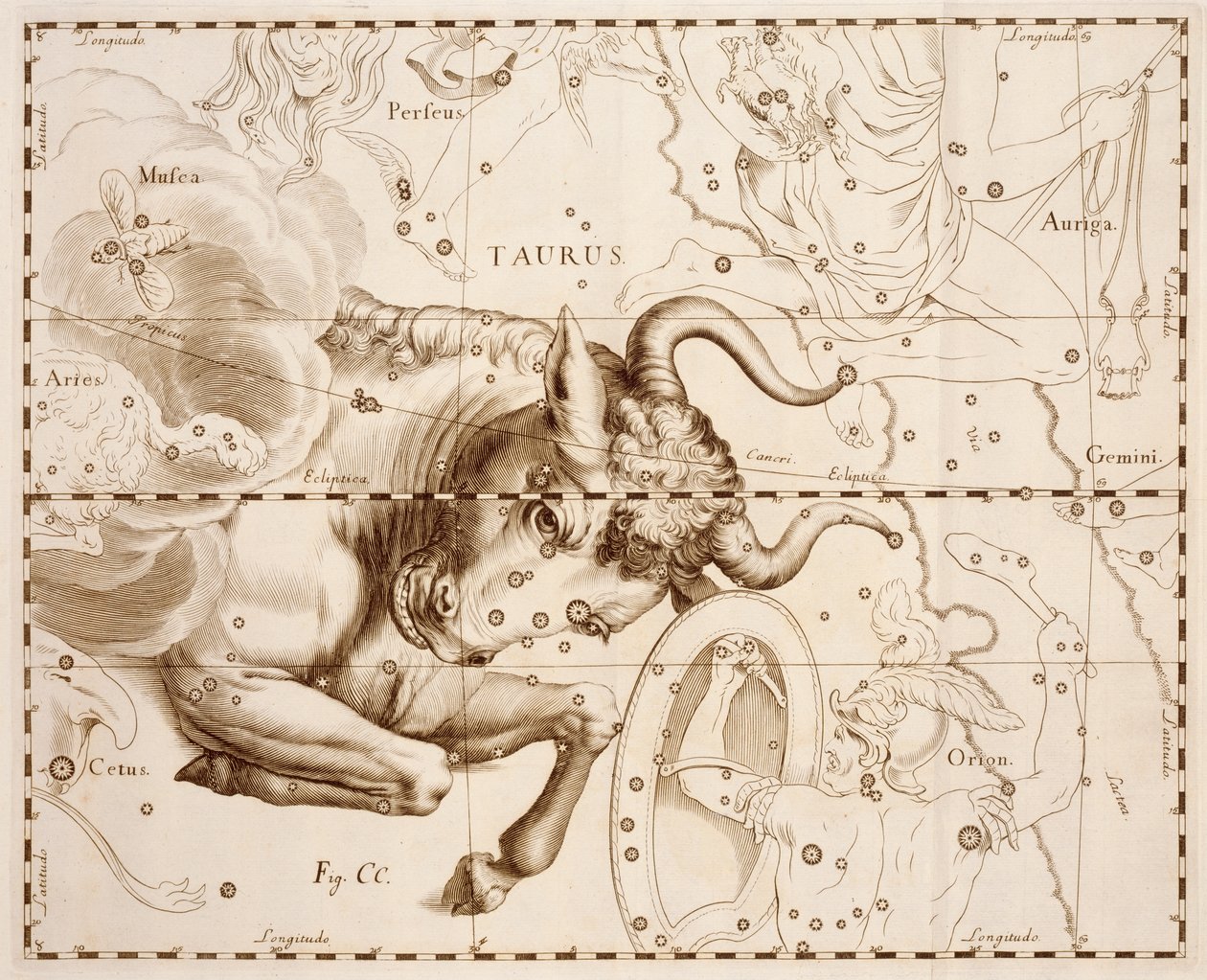 Oxen (stjärntecken), gravyr från Firmamentum Sobiescianum sive Uranographia, komplett stjärnkatalog, av Johann Hevelius (1611-1687), tryckt i Gdansk av Johannes Hevelius