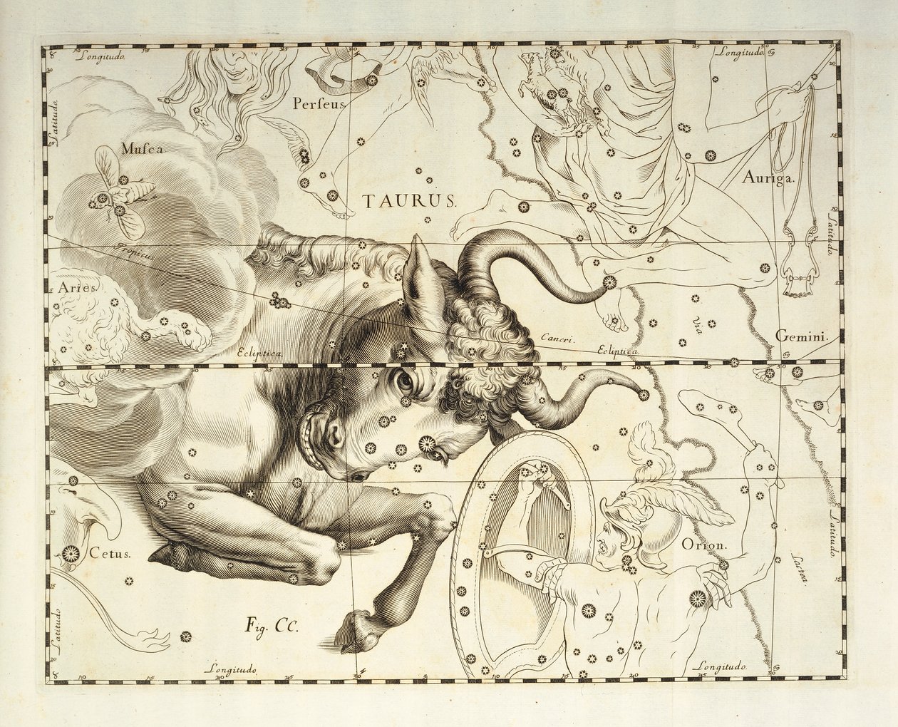 Oxen, stjärnbilden Oxen, gravyr från himmelsatlas Firmamentum Sobiescianum sive Uronographia, av Johann Hevelius (1611-1687), Gdansk av Johannes Hevelius
